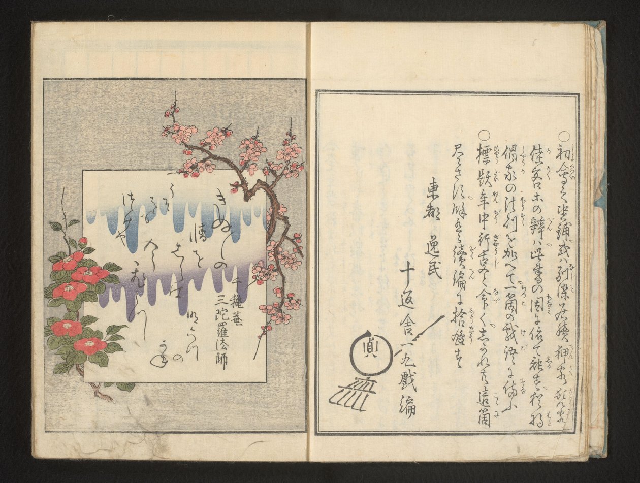 春天的花朵的诗 作者 北川宇多郎