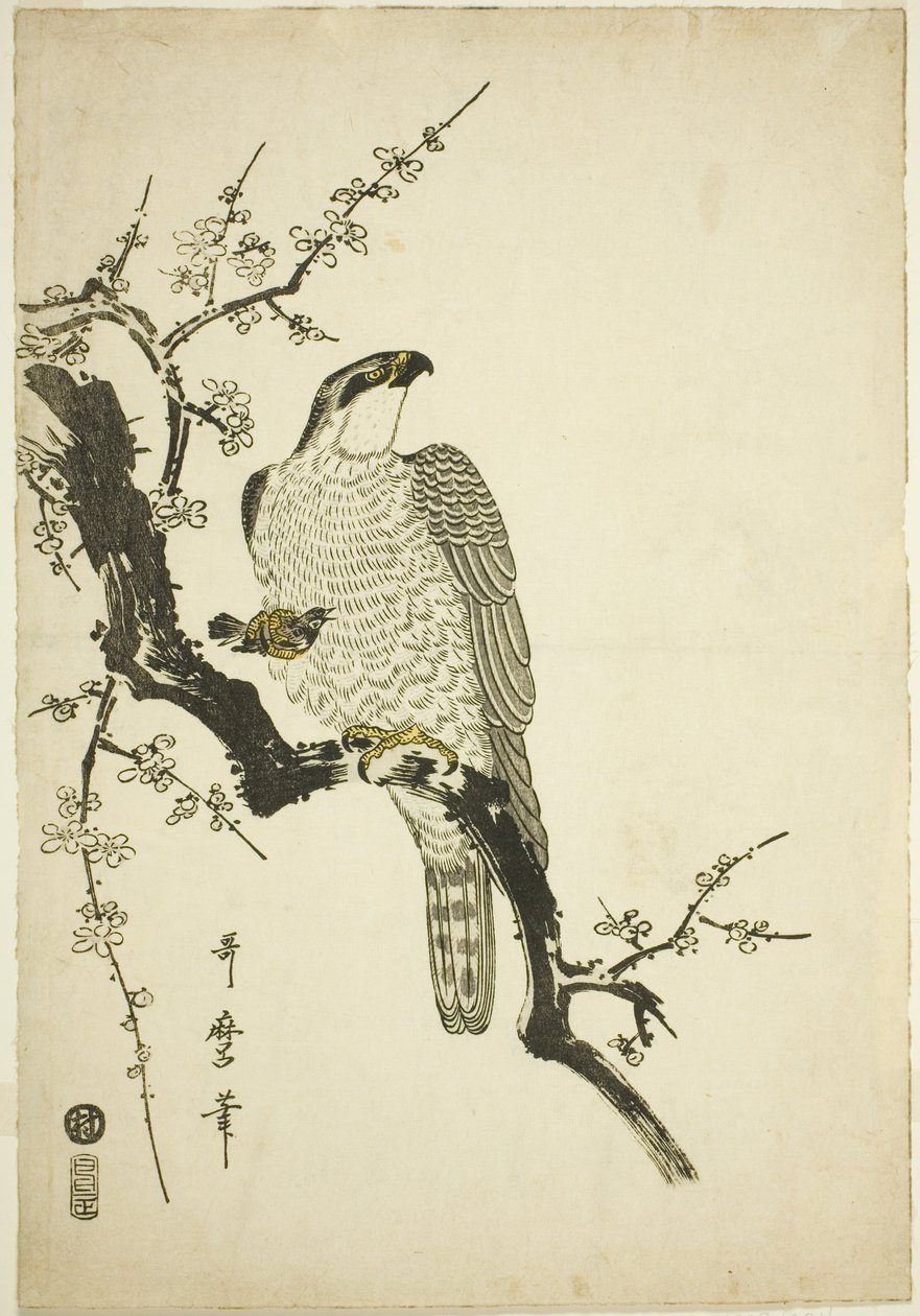梅枝上的鹰 作者 北川宇多郎