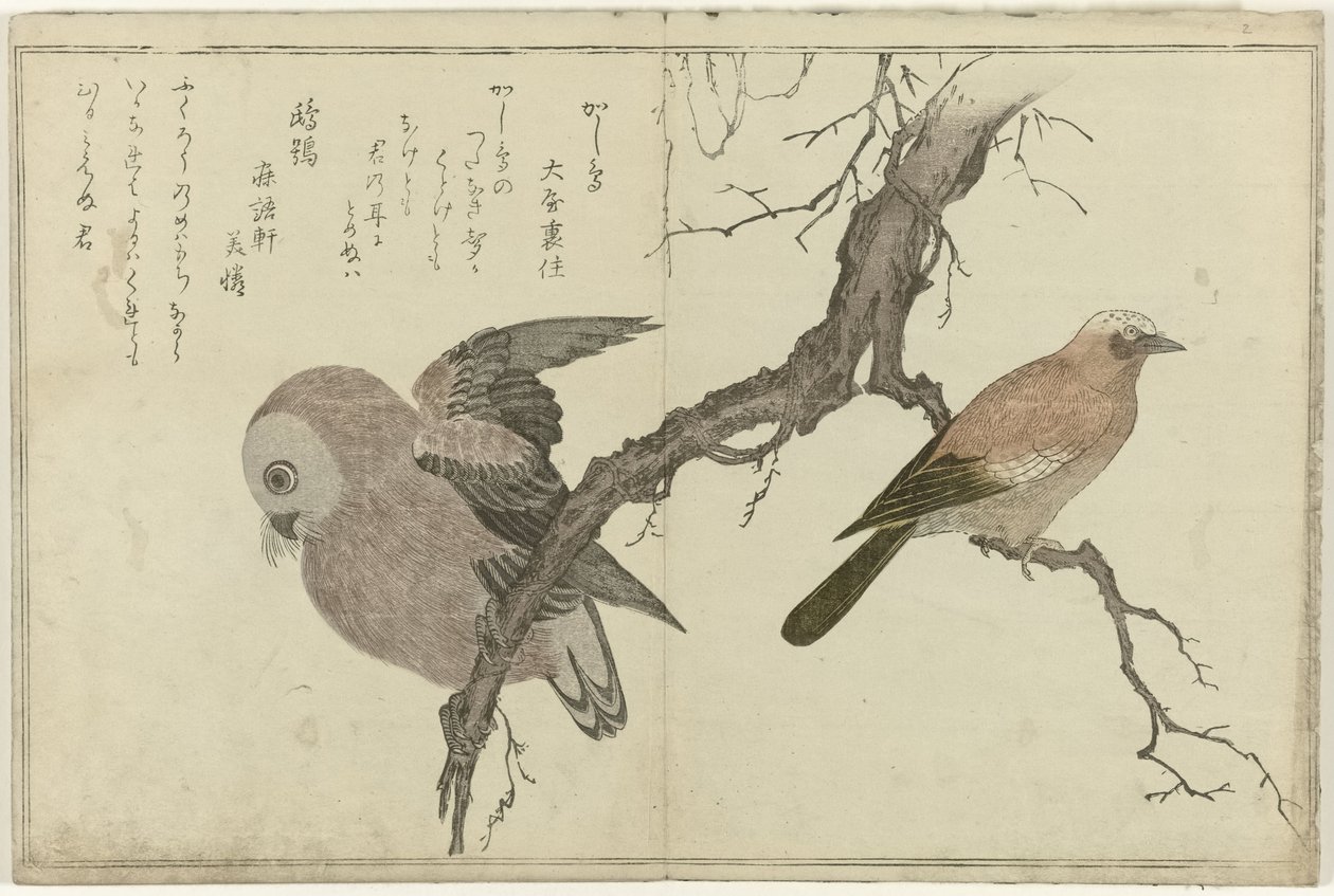 杰伊和猫头鹰 作者 北川宇多郎