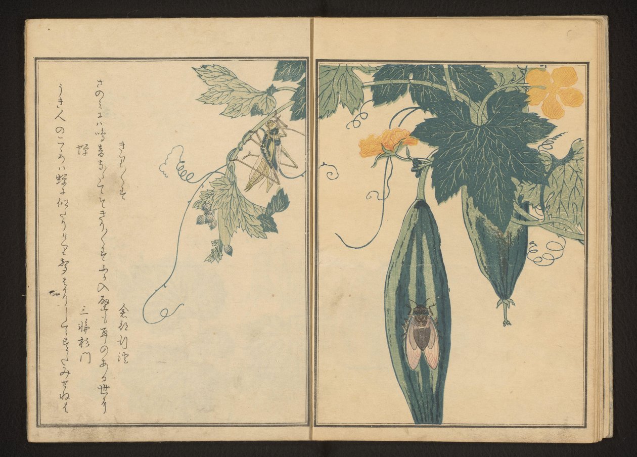 葫芦上的螽斯和蝉 作者 北川宇多郎