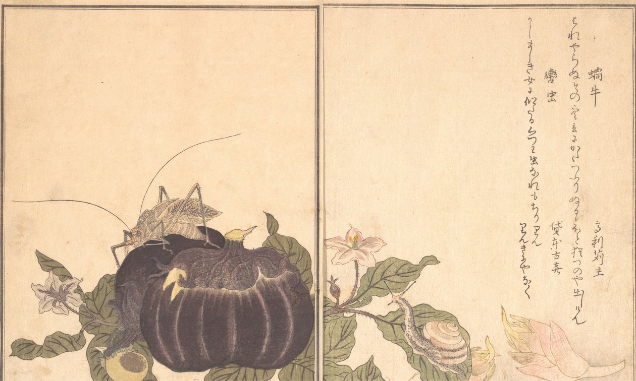 陆地蜗牛Katatsumuri，巨型蝈蝈Kutsuwamushi ...，1788。 作者 北川宇多郎