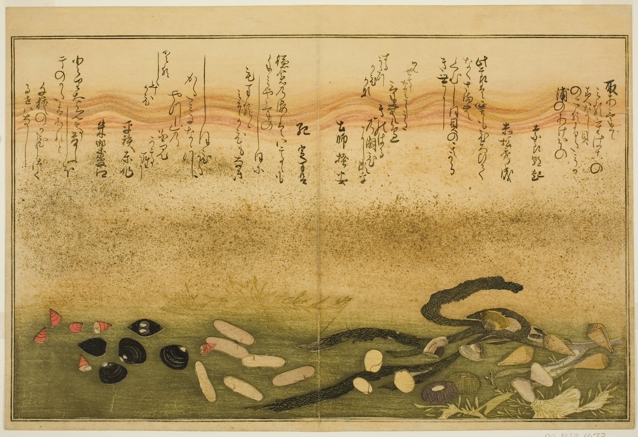 绘本 "退潮的礼物（汐之刀）"中的水菜、汐菜、葛菜、酱菜、千金菜和千草菜 作者 北川宇多郎