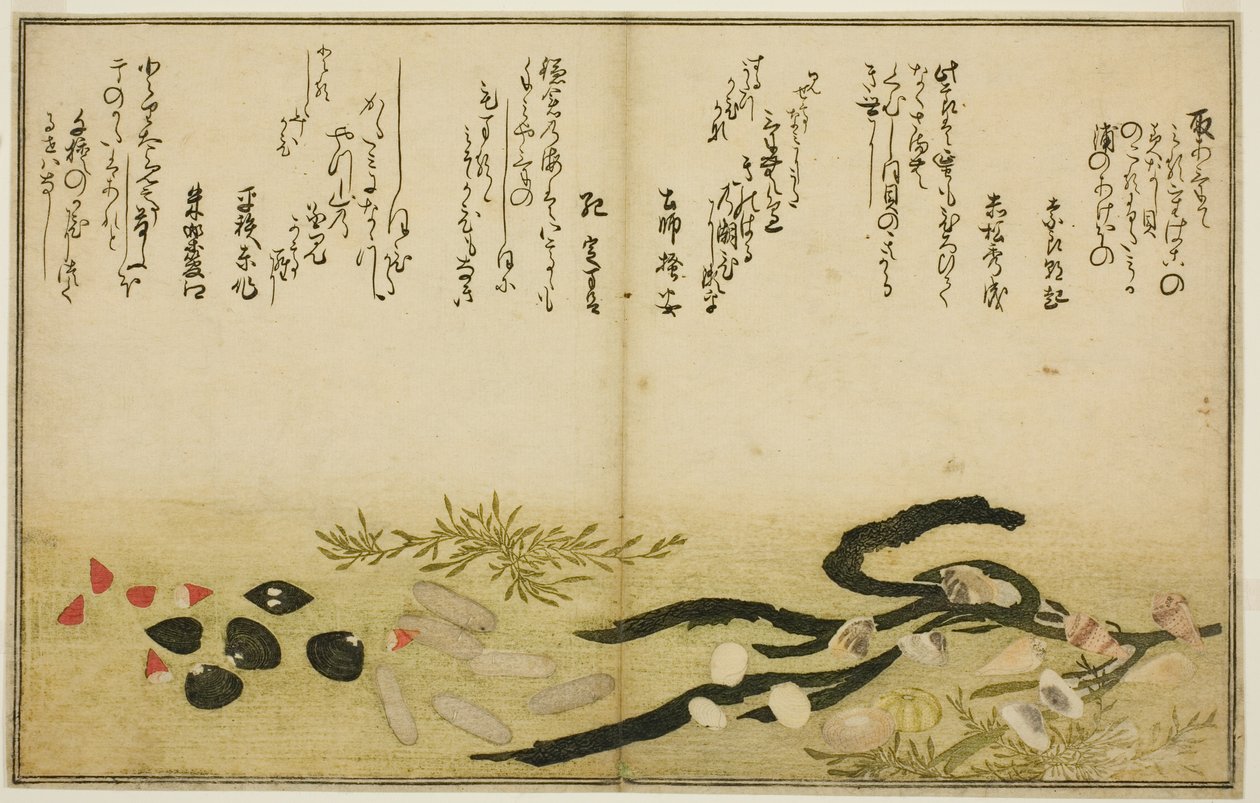 绘本 "退潮的礼物（汐之刀）"中的水菜、汐菜、葛菜、酱菜、千金菜和千草菜 作者 北川宇多郎