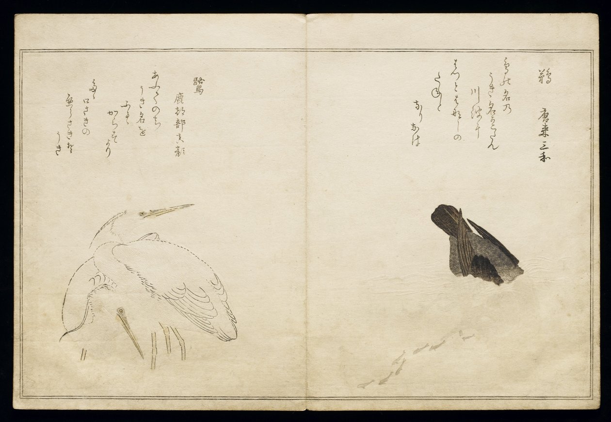 P.332-1946 Vol.1 f.4左边的鸬鹚和左边的两只雪鹭，来自专辑&39;Birds in Humorous Songs&39;，1791（彩色木版画） 作者 北川宇多郎