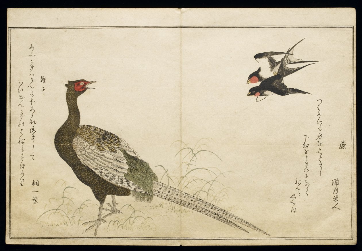 P.332-1946 Vol.1 f.6一对烟囱燕子和一只绿雉，来自专辑&39;Birds in Humorous Songs&39;，1791（彩色木版画） 作者 北川宇多郎