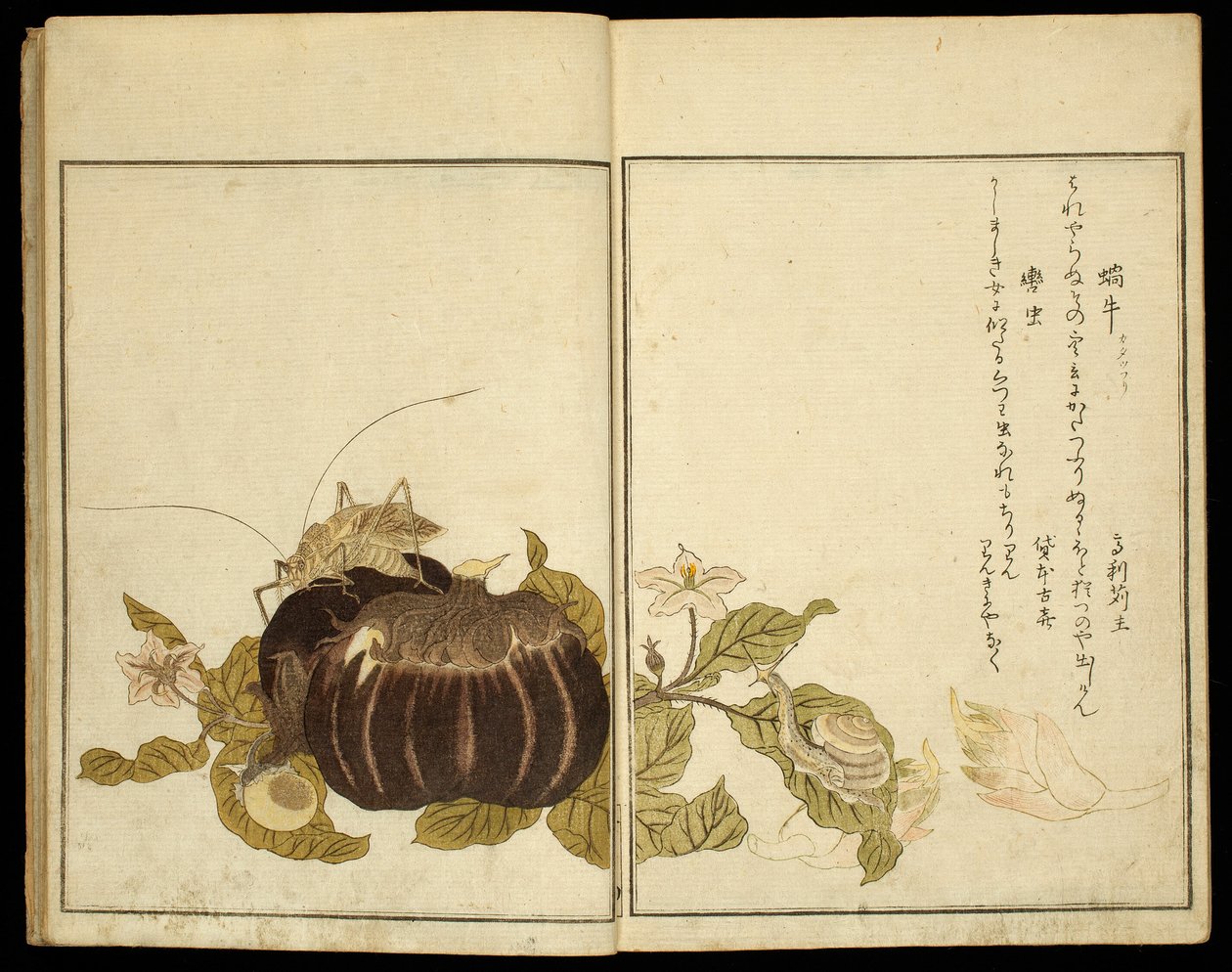 图画书：昆虫选》（Ehon mushi erabi） 作者 北川宇多郎