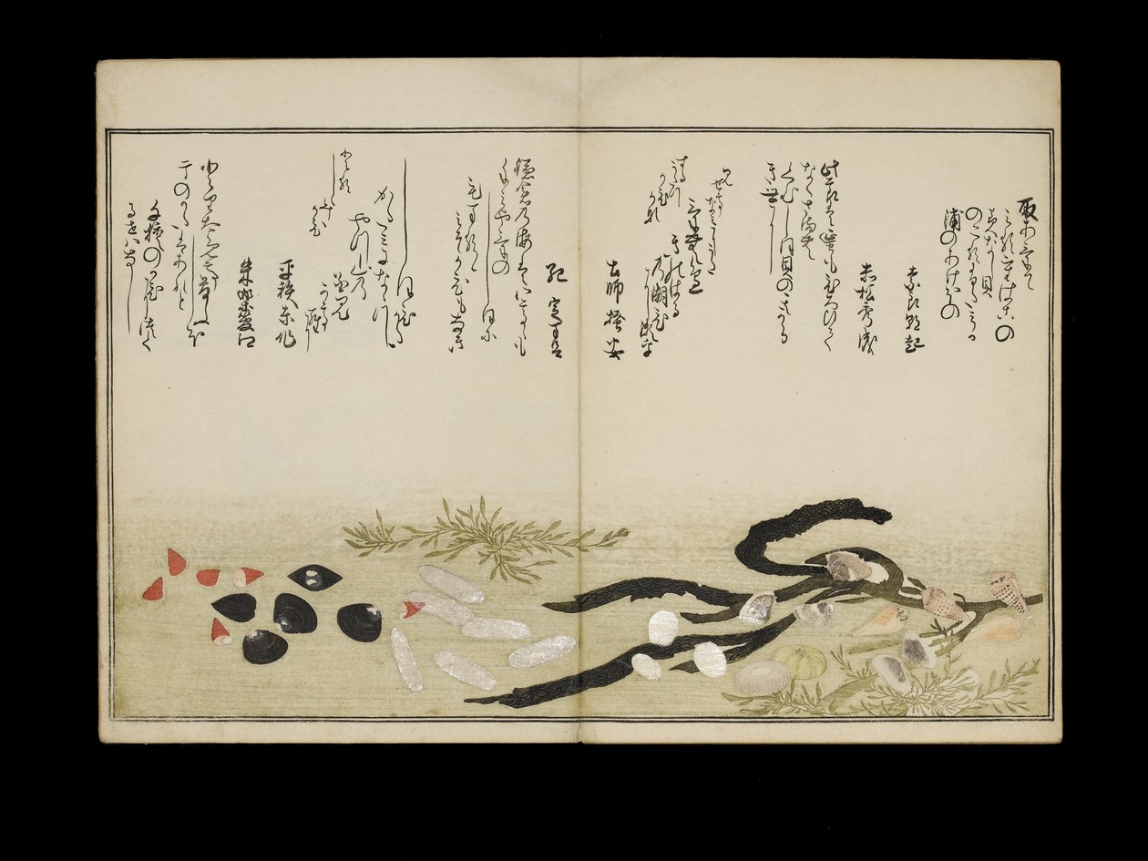 Shiohi no tsuto（来自大浪淘沙的礼物），被称为Shell Book，1789（彩色木版画） 作者 北川宇多郎