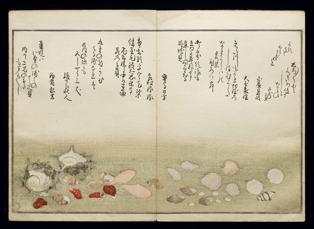 Shiohi no tsuto（来自大浪淘沙的礼物），被称为Shell Book，1789（彩色木版画） 作者 北川宇多郎