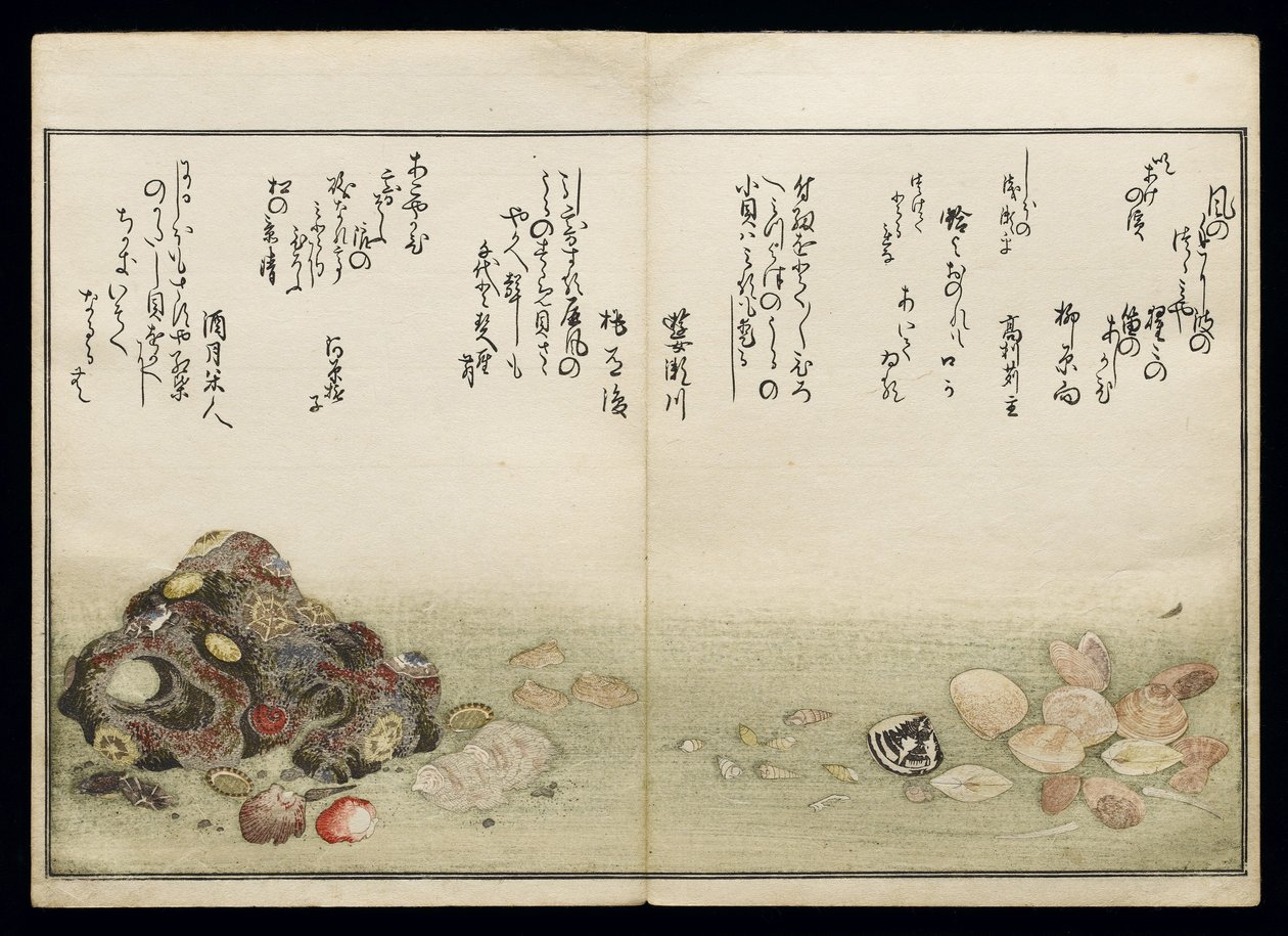 Shiohi no tsuto（来自大浪淘沙的礼物），被称为Shell Book，1789（彩色木版画） 作者 北川宇多郎