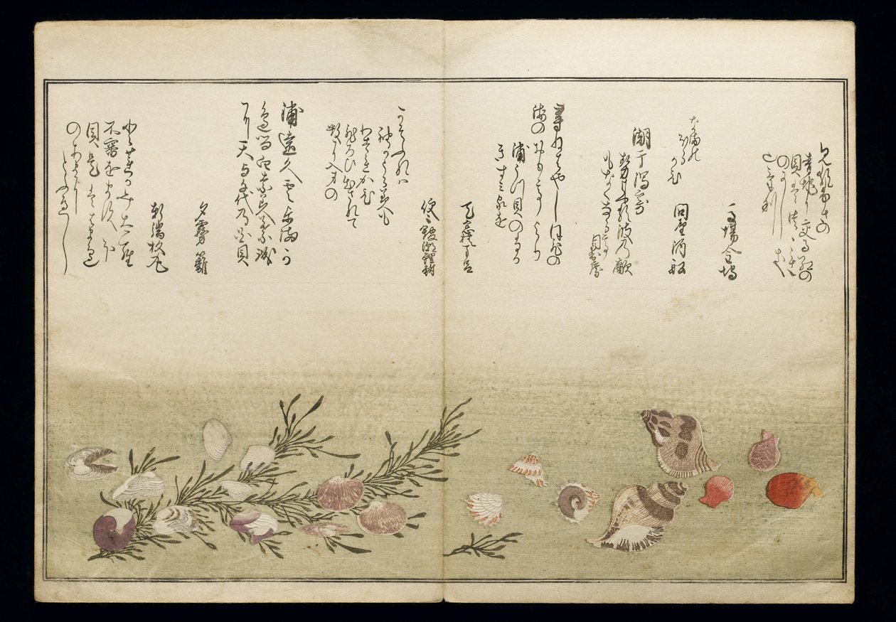 Shiohi no tsuto（来自大浪淘沙的礼物），被称为Shell Book，1789（彩色木版画） 作者 北川宇多郎
