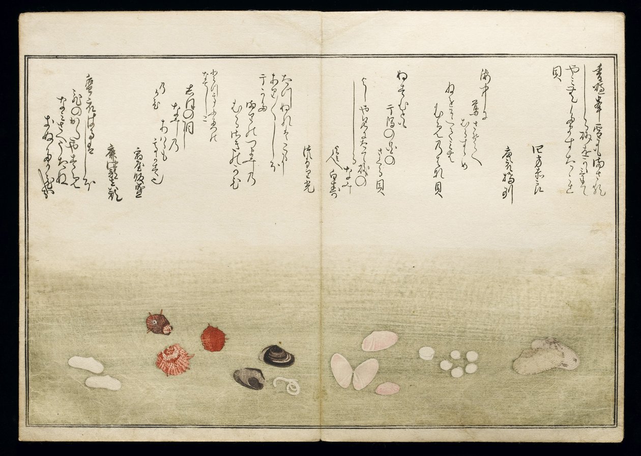 Shiohi no tsuto（来自大浪淘沙的礼物），被称为Shell Book，1789（彩色木版画） 作者 北川宇多郎