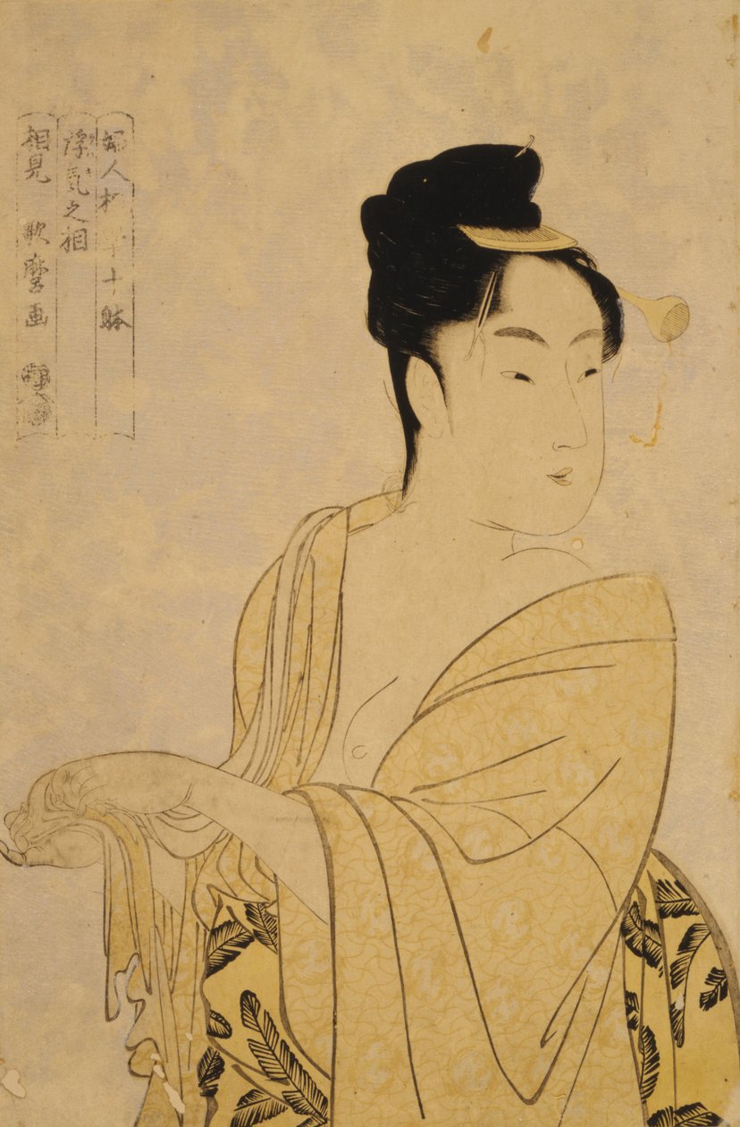 无花式字体，选自《妇女生理学研究》中的“十种字体”系列。 1793 作者 北川宇多郎