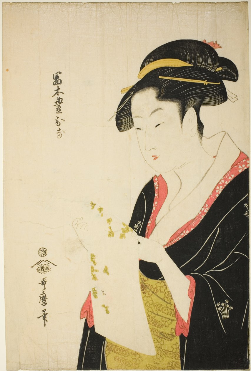丰本富士 作者 北川宇多郎