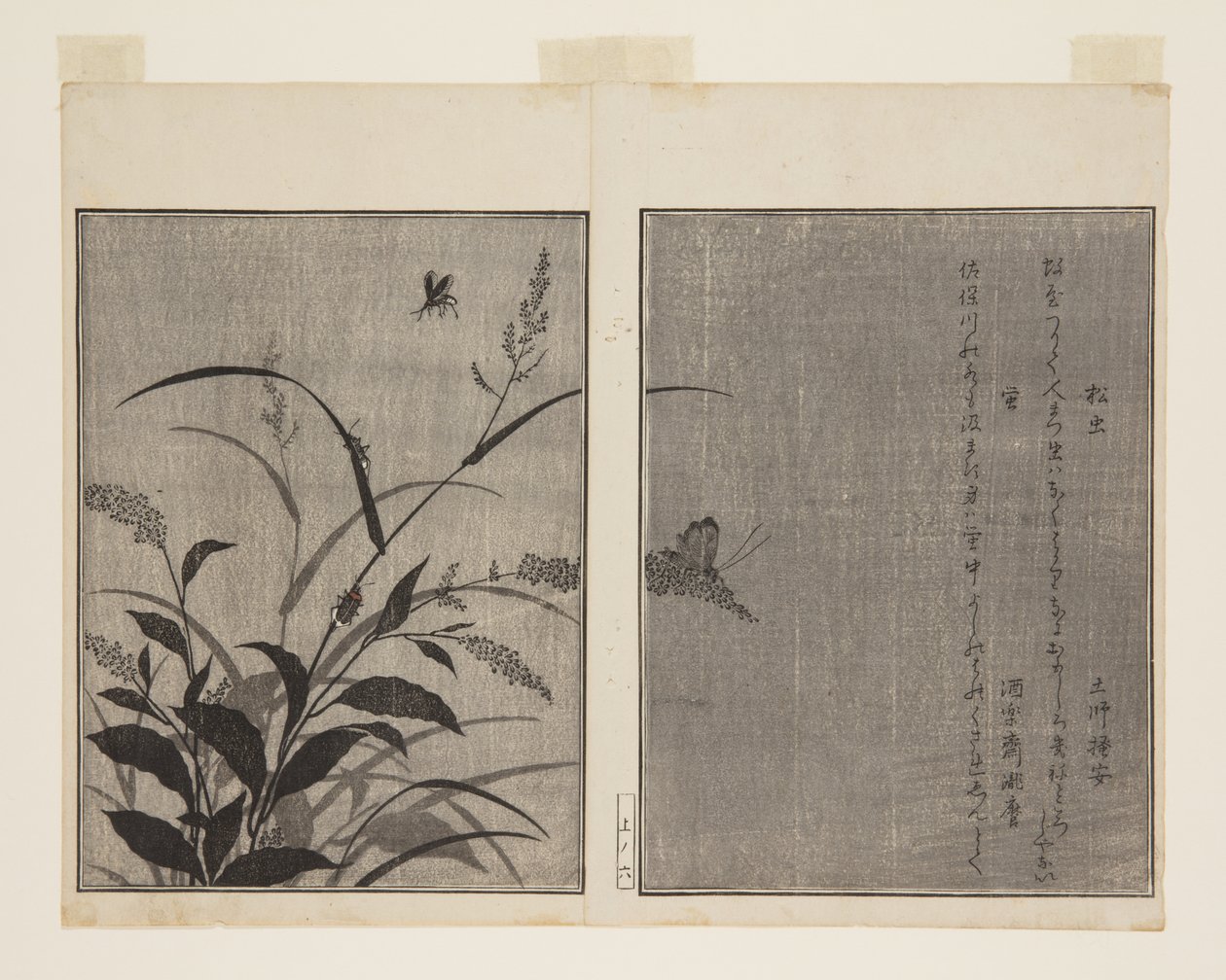 树蟋蟀 (Matsumushi) 和萤火虫 (Hotaru)（彩色木版画） 作者 北川宇多郎