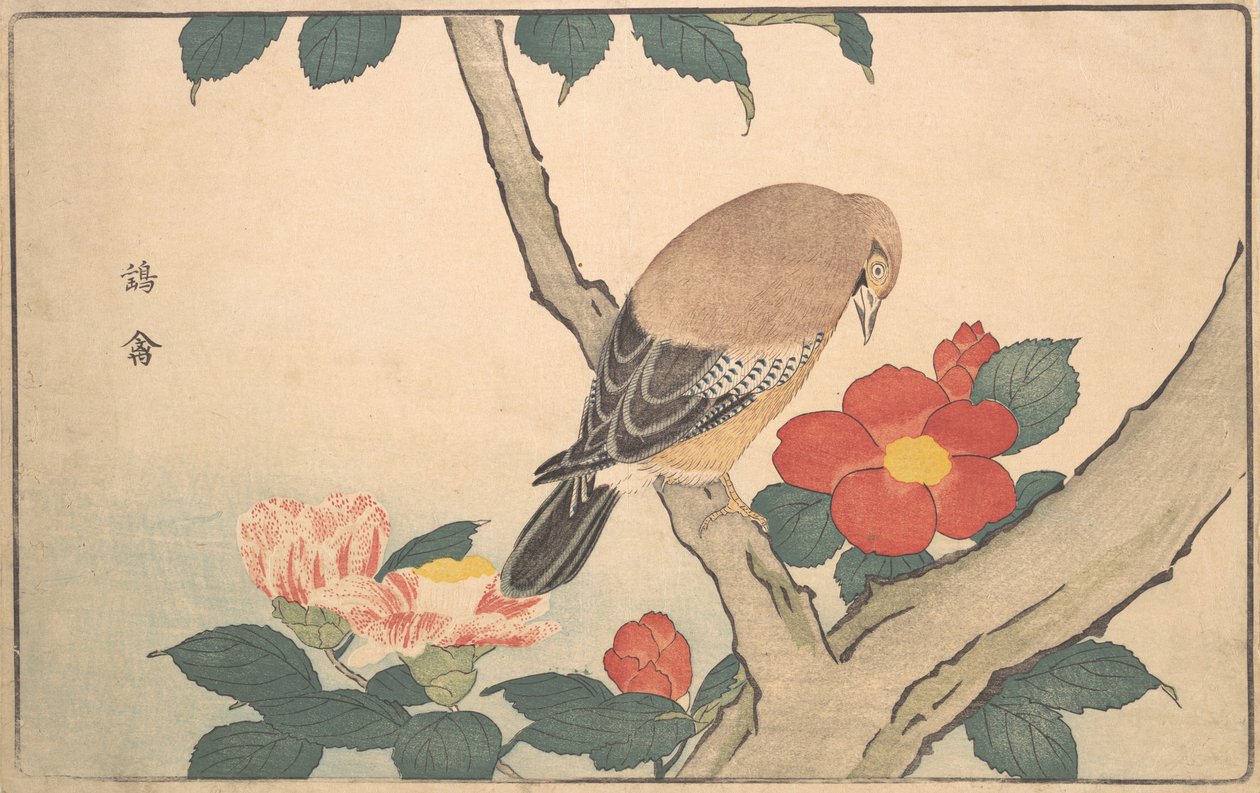 山茶花与鸟，1789年。 作者 北尾正好