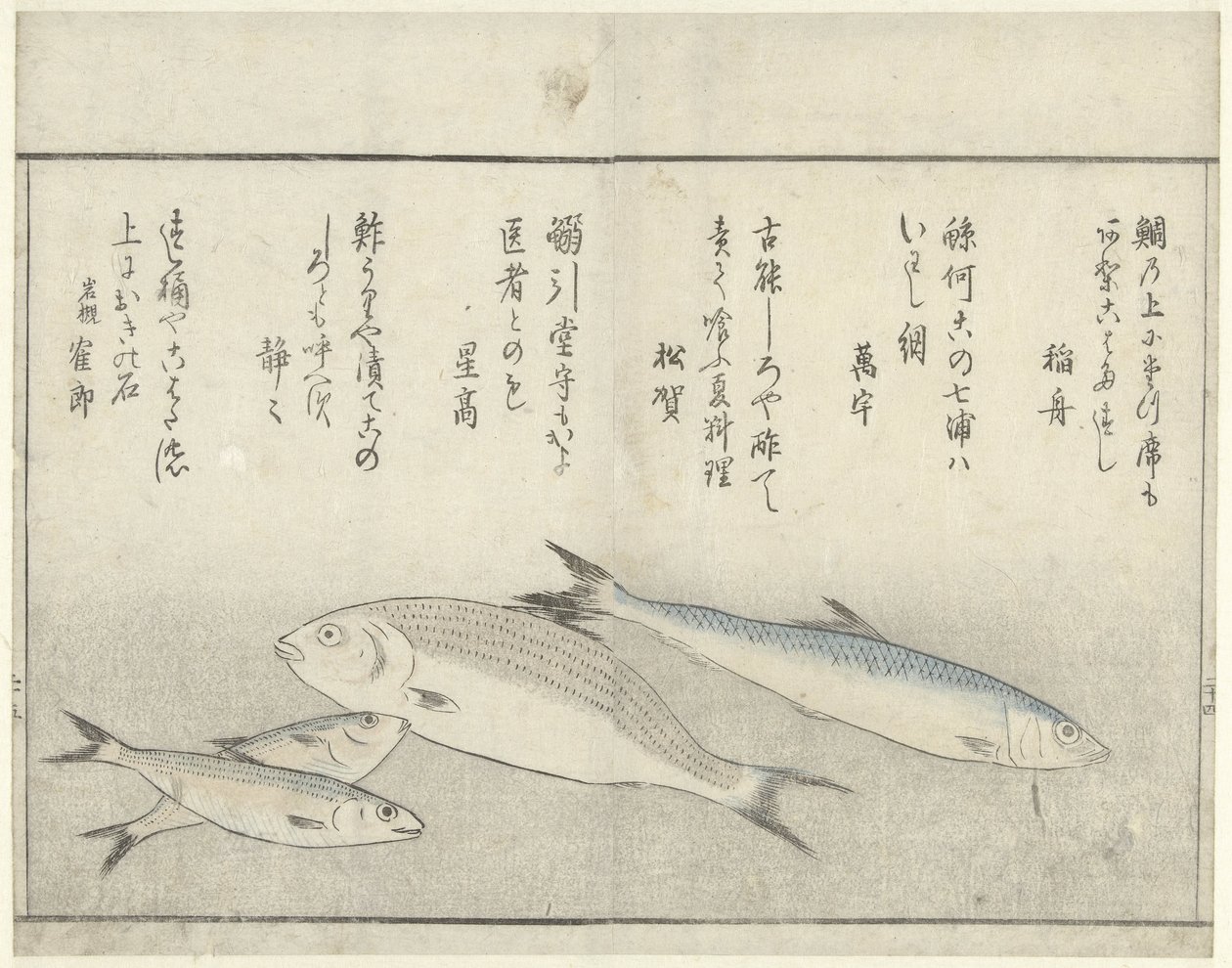 四条鱼 作者 北尾正好