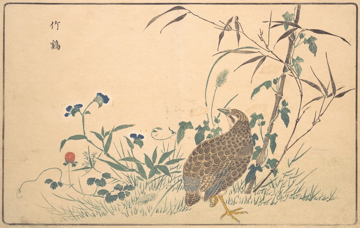 朱基，1789年。 作者 北尾正好