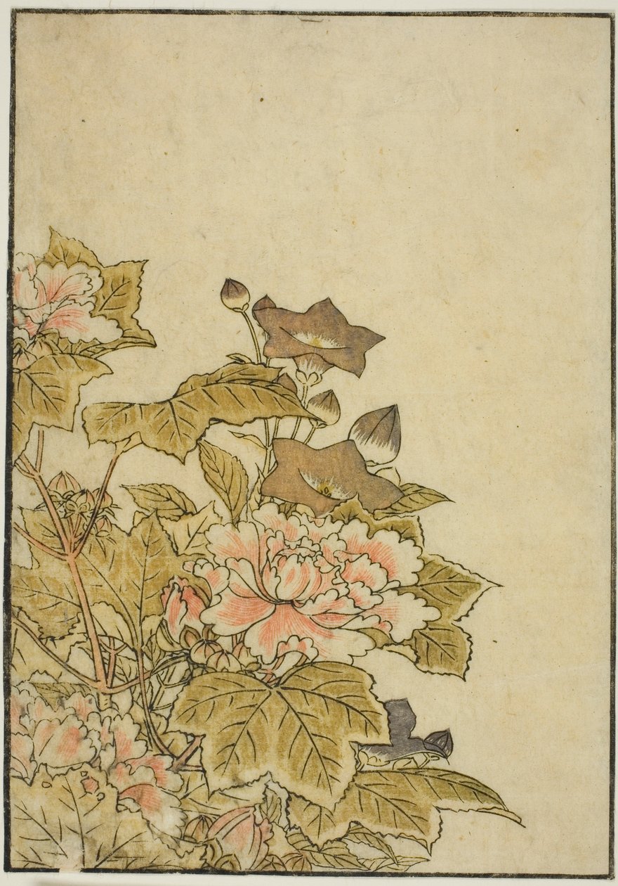 秋花：牡丹和风铃花，选自《悦己镜》第 2 卷。 作者 北尾重正