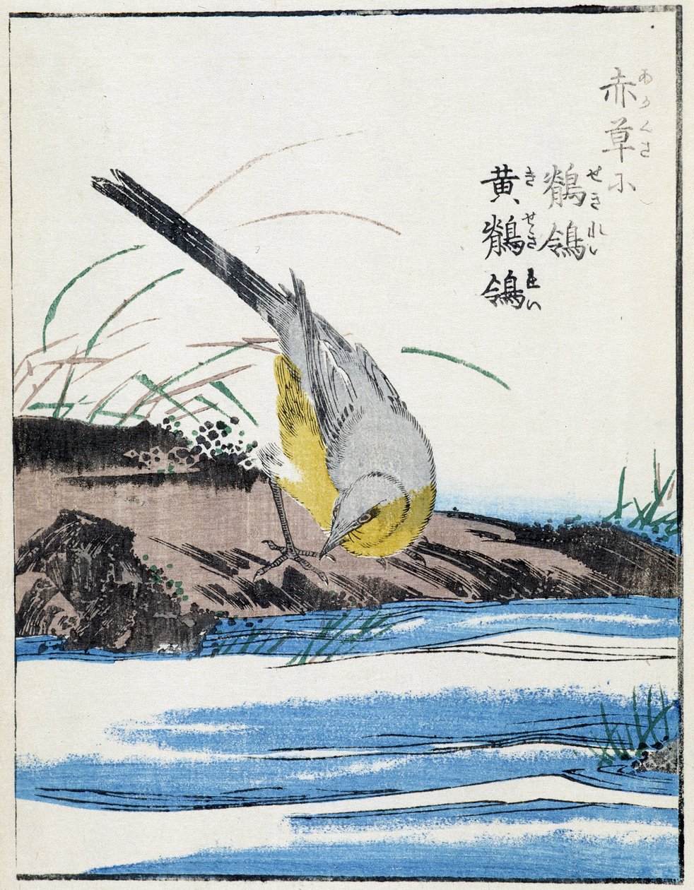 Bird. Japanese drawing by Kitao Kosuisai 作者 北尾重正
