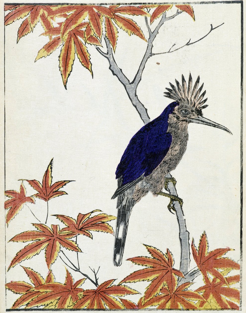 树上的鸟。 Kitao Kosuisai 的日本绘画 作者 北尾重正