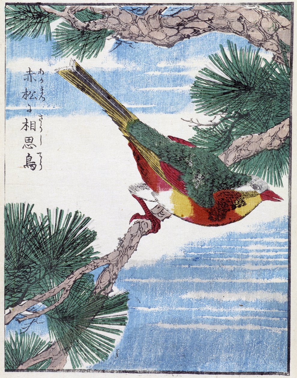 树上的鸟。 Kitao Kosuisai 的日本绘画 作者 北尾重正