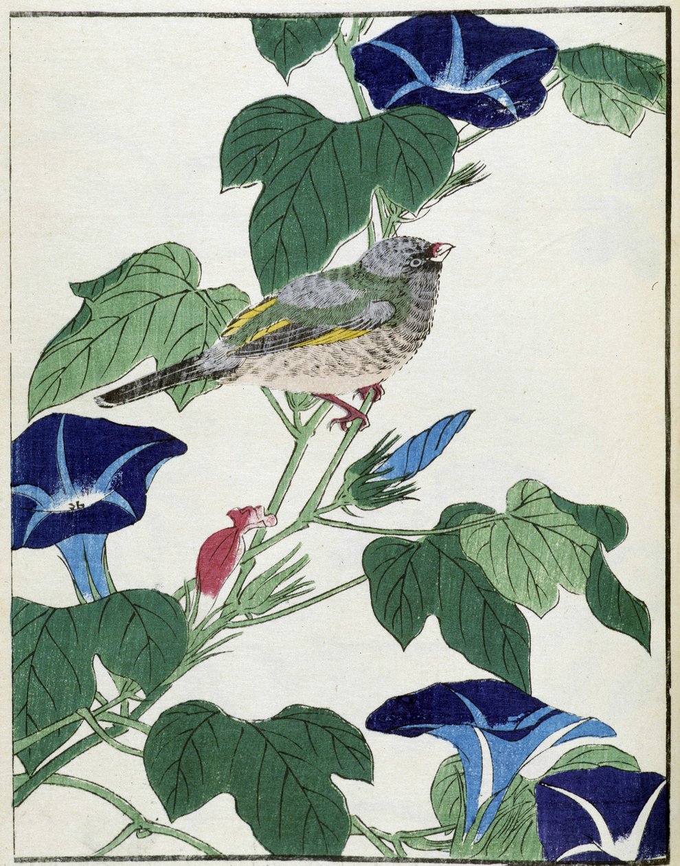 树上的鸟。 Kitao Kosuisai 的日本绘画 作者 北尾重正