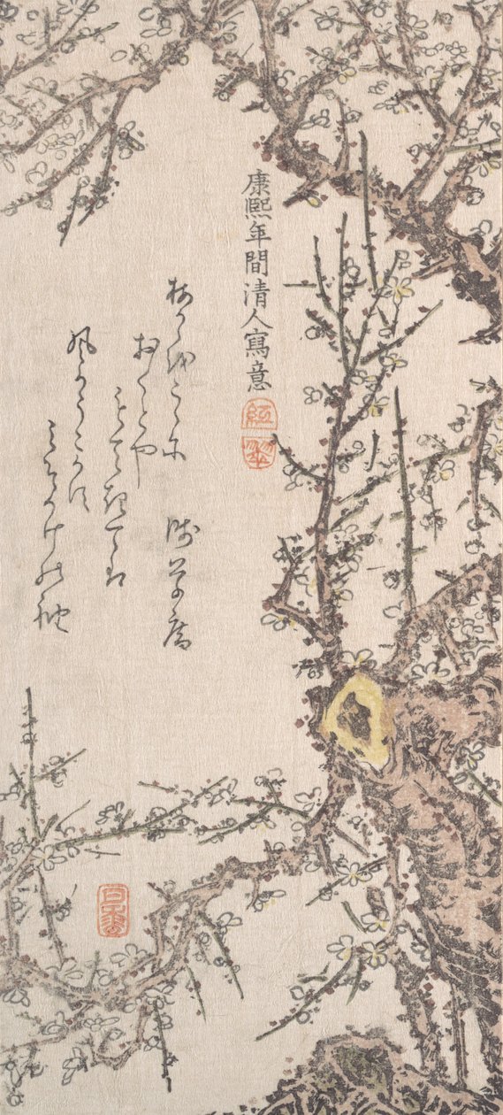 开花的李子树，18世纪末至19世纪初。 作者 北尾重正