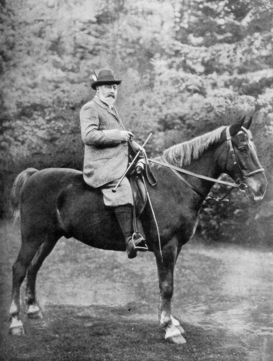 爱德华七世国王（King Edward VII）骑在诺福克（Norfolk）桑德林厄姆（Sandringham）的隐蔽处，c1902-c1910 1910年 作者 惠特姆骑士团