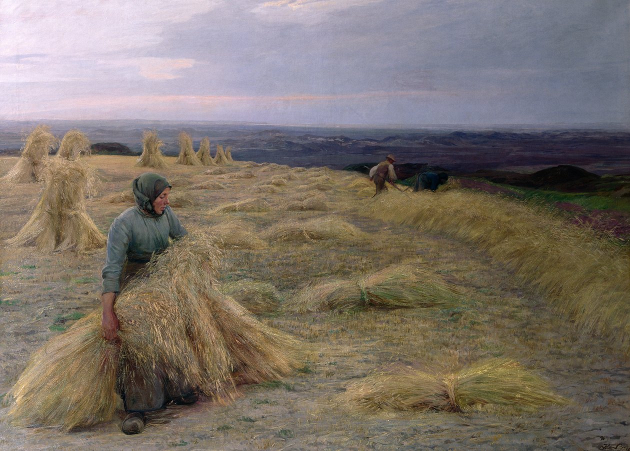 收割机，Svinklov-Viildemosen，Jutland 作者 努德·拉森（Knud Larsen）