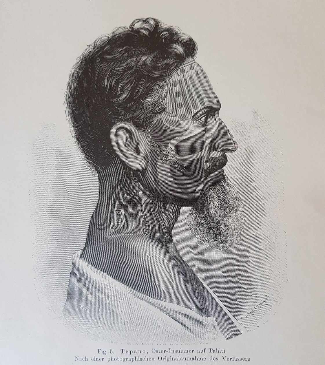 Juan Tepano，来自&39;关于复活节岛民的纹身&39;的插图，作者：Hjalmar Stolpe，1899 作者 努特·贾马尔·斯托尔普（Knut Hjalmar Stolpe）