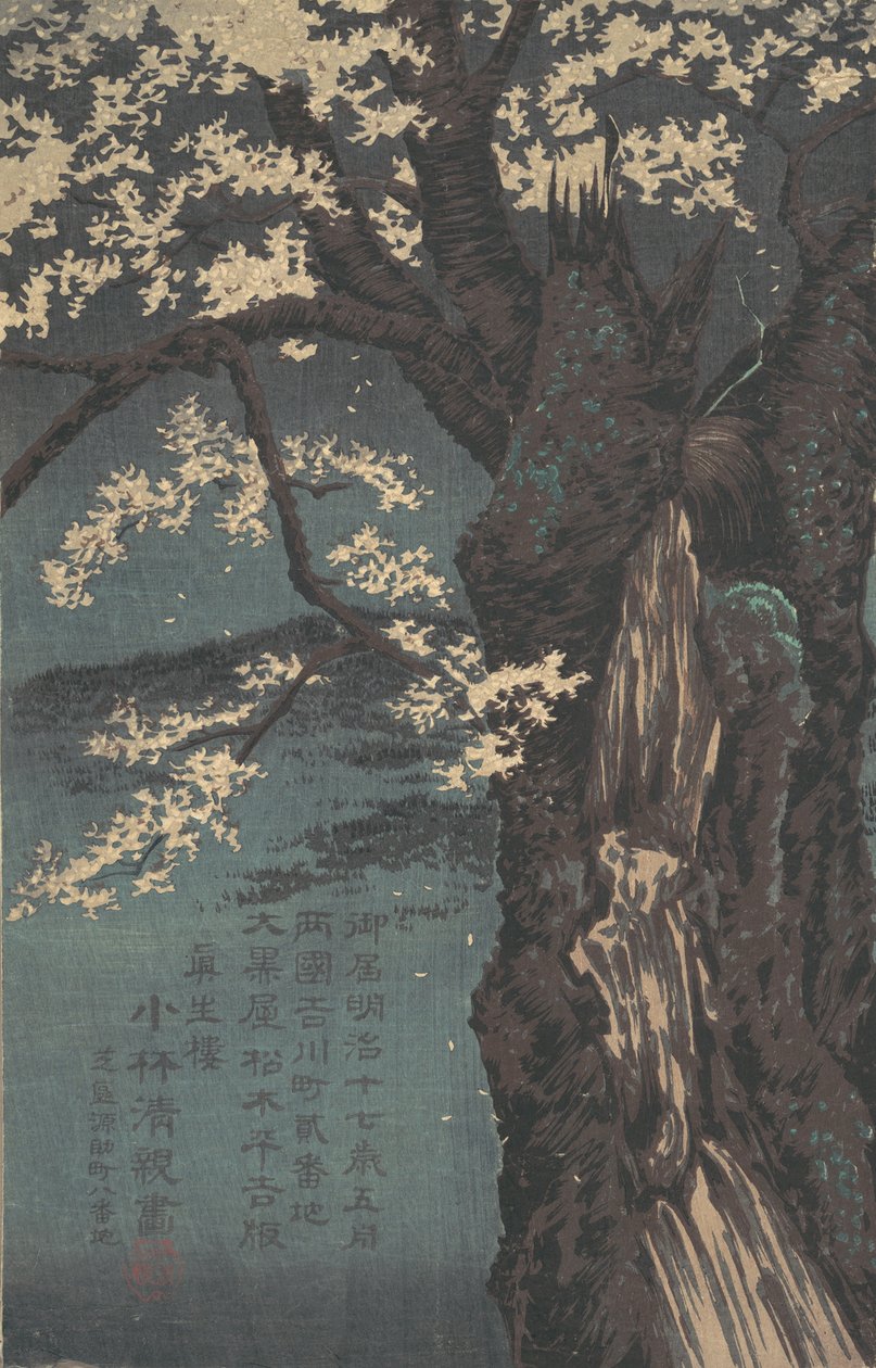 樱桃树，日期为1874年。 作者 小林清一