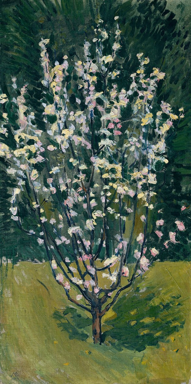 花树 作者 科洛曼·莫泽（Koloman Moser）