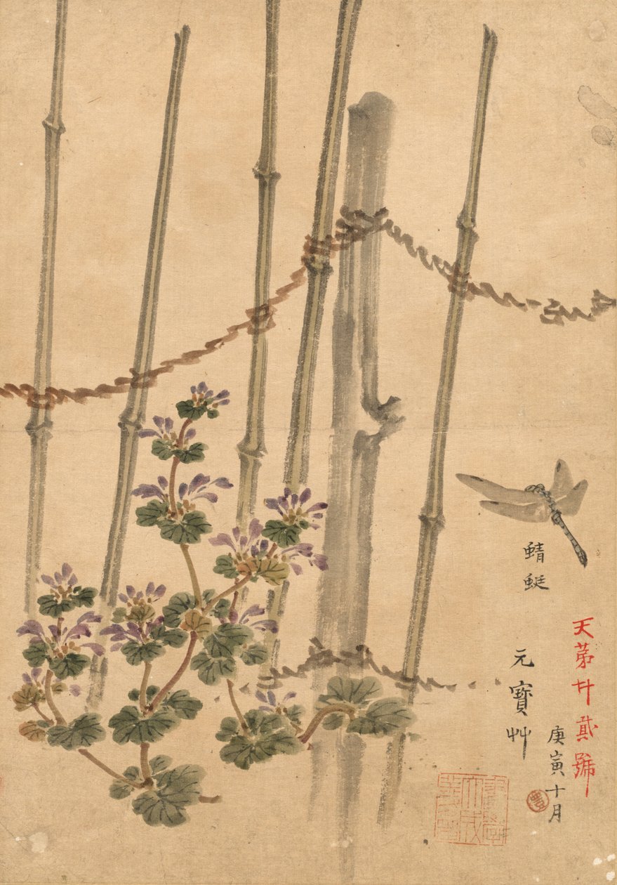 竹篱笆和菊花 作者 河野白令