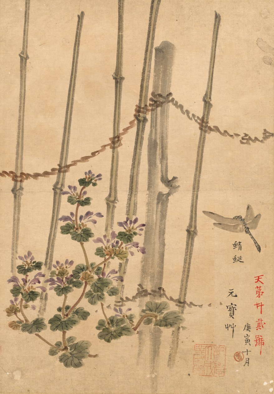 竹篱笆和菊花c。 1890年。 作者 河野白令