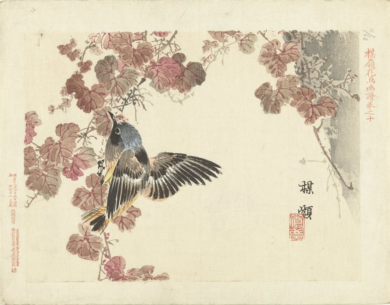 小鸟和红藤 作者 河野白令