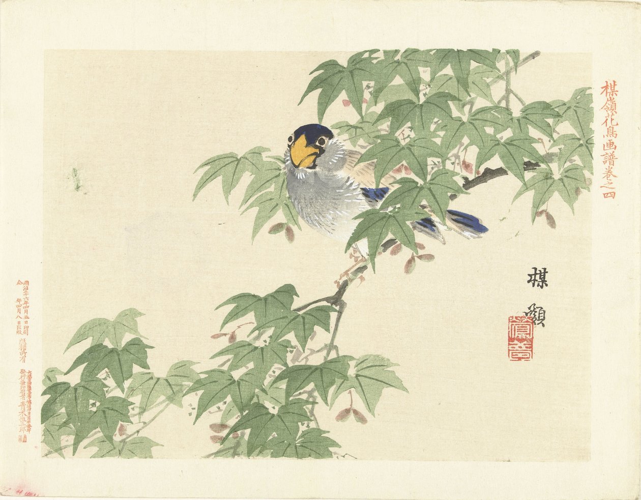 灰蓝色的鸟
百合花鸟素描（系列标题）
Barei kacho gafu（物体上的系列标题） 作者 河野白令