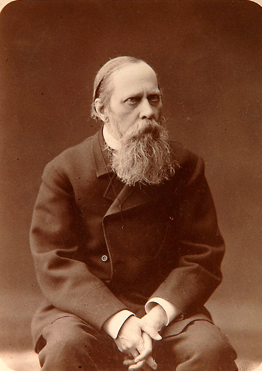 米哈伊尔·萨尔蒂科夫·谢德林（Mikhail Saltykov-Shchedrin），俄罗斯作家，1880年代 作者 康斯坦丁·沙皮罗