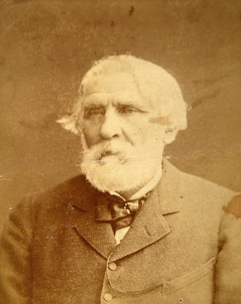 作者伊万·谢尔盖耶维奇·屠格涅夫（Sergueievitch Tourgueniev）（1818-1883）的肖像。 白蛋白 照片由 Konstantin Schapiro (1839-1900) 拍摄 作者 康斯坦丁·沙皮罗