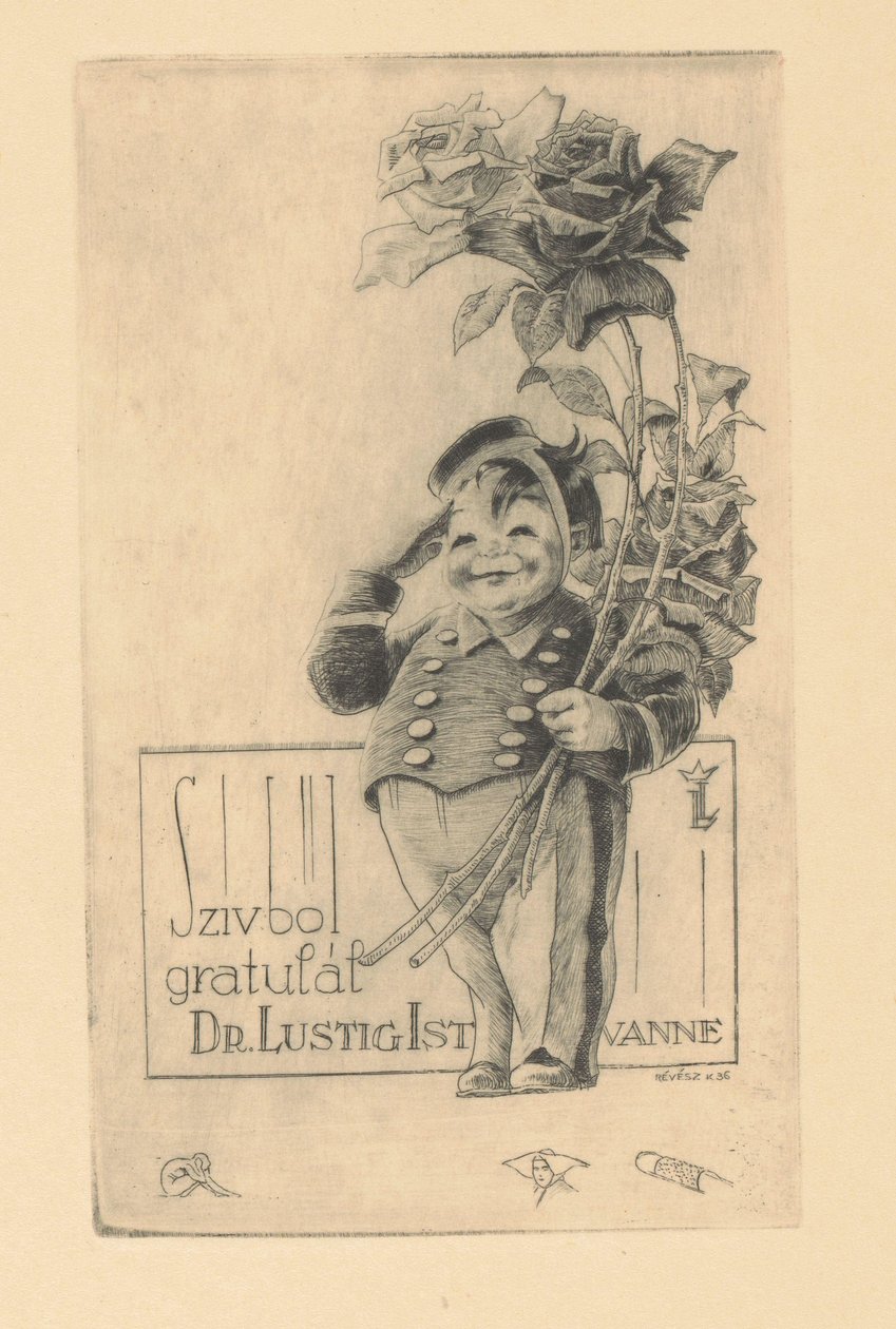 祝贺伊斯特万·卢斯蒂格 衷心祝贺博士。 István Lustig（物体上的标题） 作者 科内尔·雷维斯