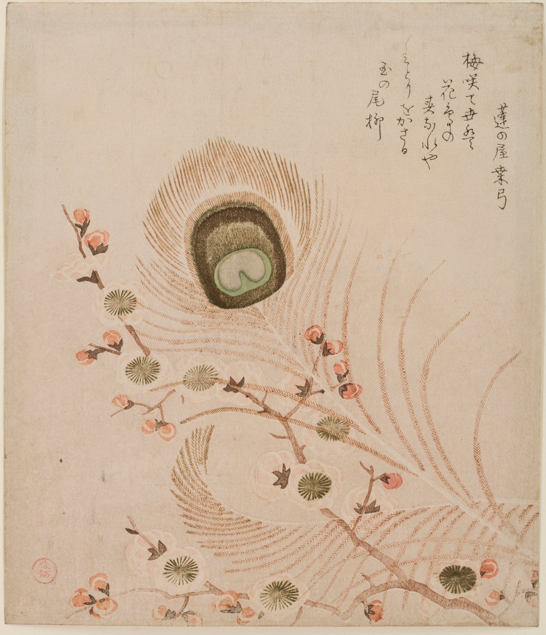 梅花枝和孔雀羽毛，1810年代中后期（彩色木版画） 作者 久保申曼