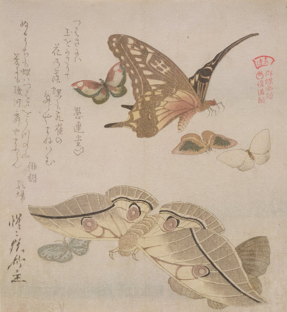 &39;Tsubasa ni wa ...&39;（诗歌的第一行）来自“蝴蝶画报”系列，c.1804-18（木版画） 作者 久保申曼