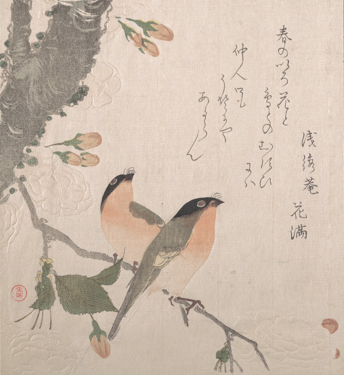 牛雀和樱花，19世纪。 作者 久保顺曼