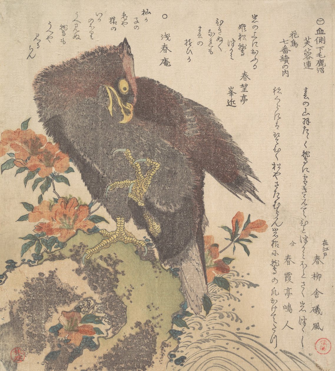 岩石上的鹰，开花的杜鹃花，约1800年。 作者 久保顺曼
