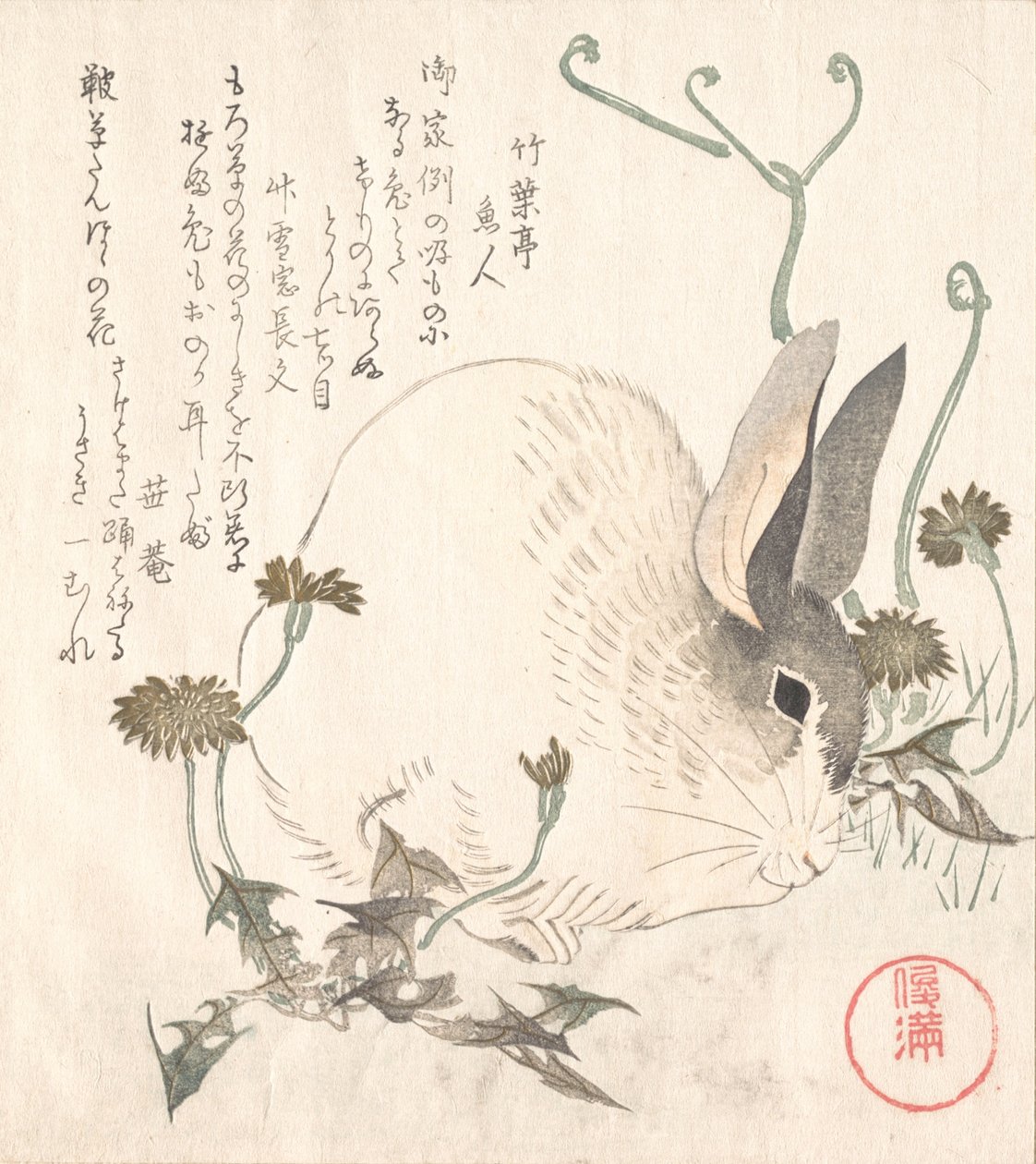 野兔和蒲公英，大概在1820年。 作者 久保顺曼
