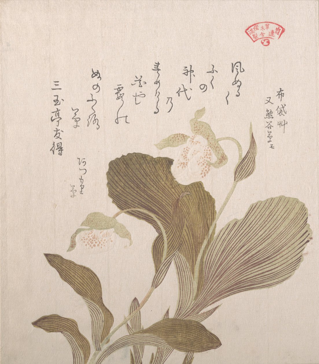 荷亭花，19世纪。 作者 久保顺曼