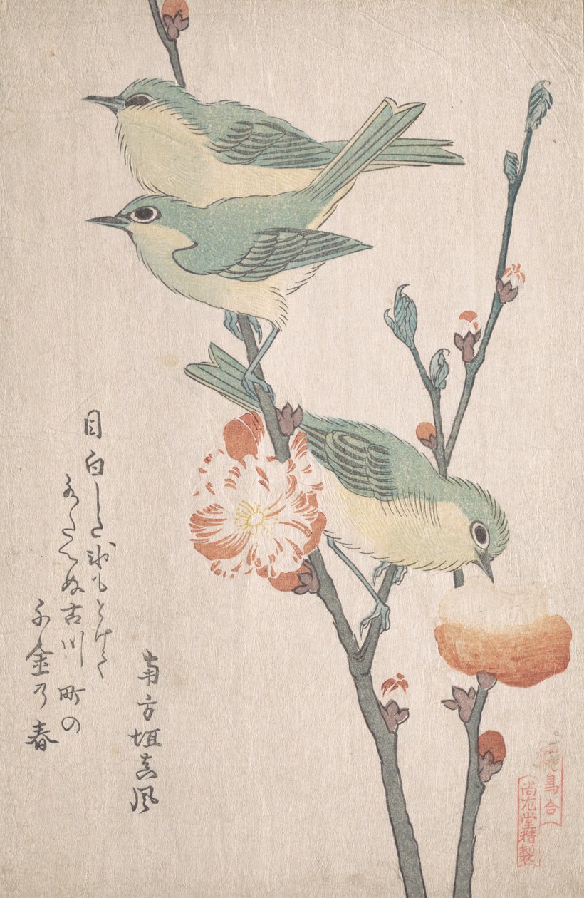 桃树枝上的日本白眼狼，......，约1805-10。 作者 久保顺曼