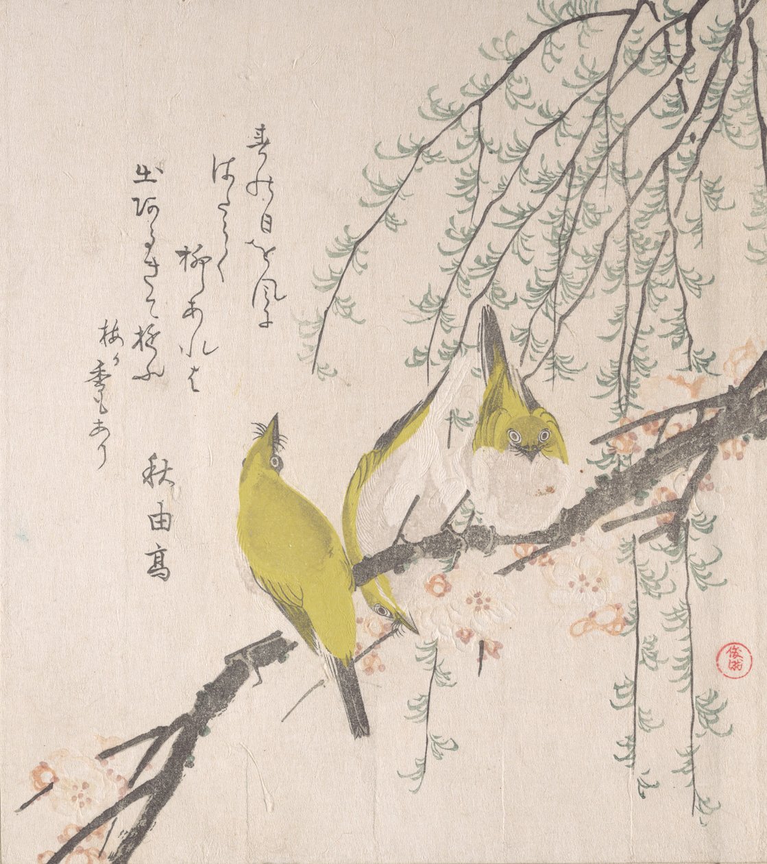 日本白眼狼与梅树和柳树......，约1810年。 作者 久保顺曼