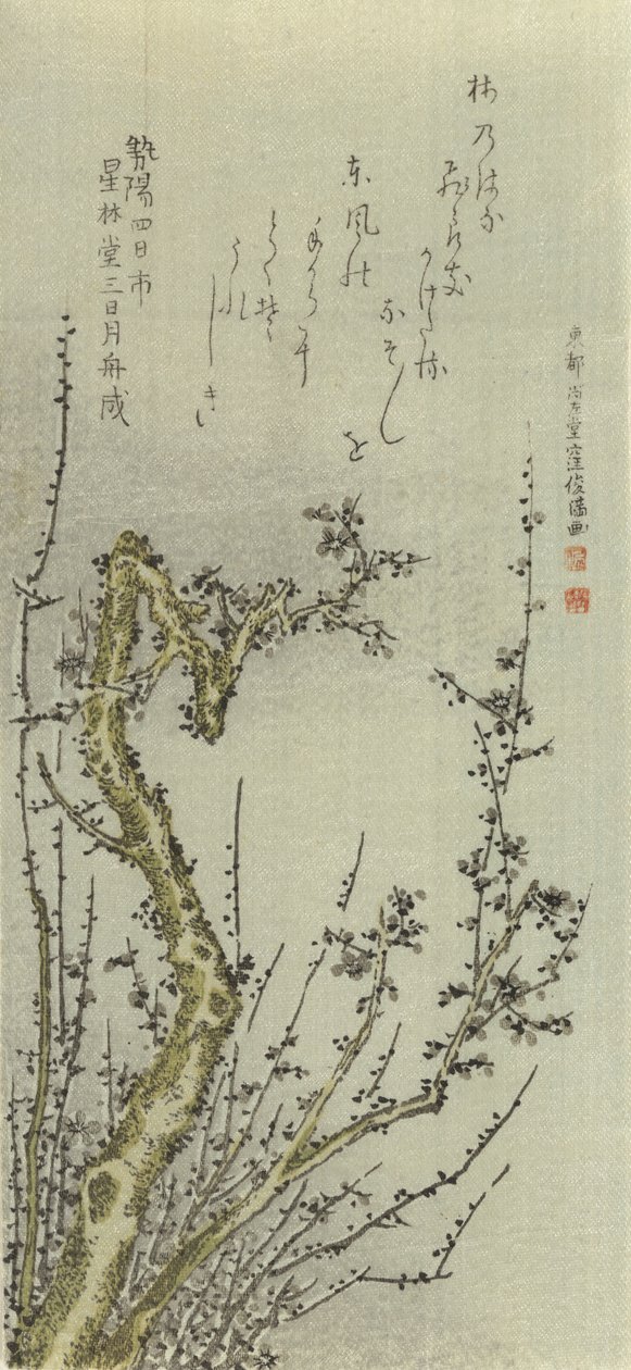 老梅花树，1796年。 作者 久保顺曼