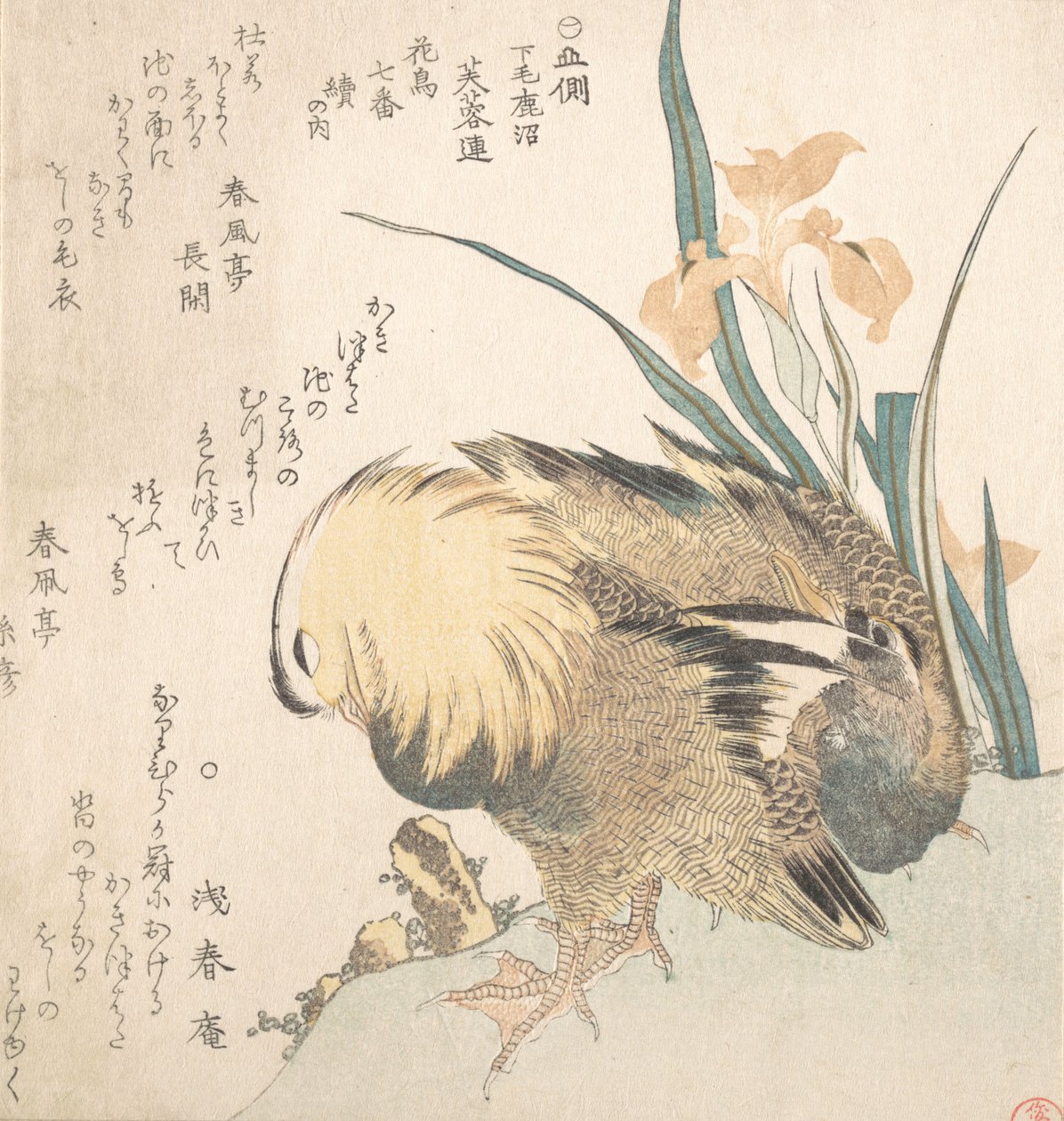 鸳鸯和鸢尾花一对，18世纪末至19世纪初。 作者 久保顺曼