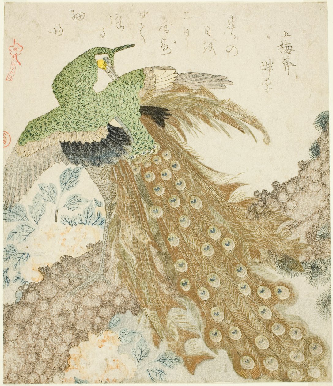 孔雀、松树和牡丹，选自 "三瓣一组（San hira no uchi）"系列 作者 久保顺曼